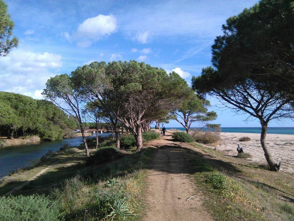La Ginestra Guest House Orosei Bagian luar foto