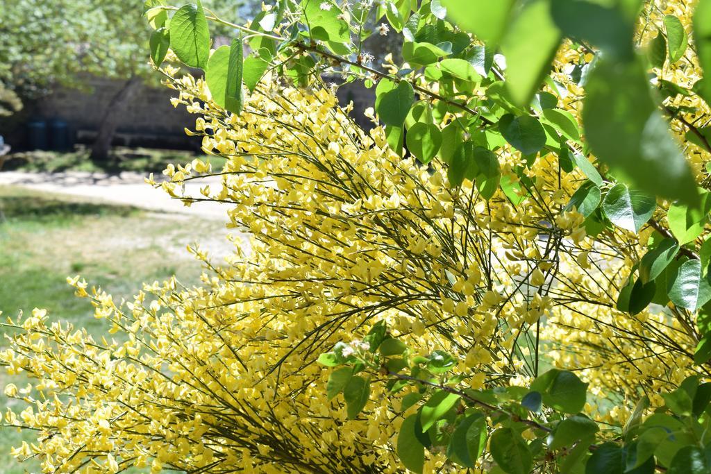 La Ginestra Guest House Orosei Bagian luar foto
